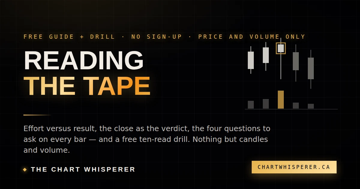 Built a free drill that scores whether you can actually read a candlestick chart logo